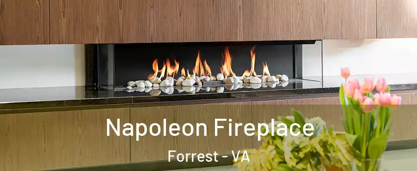 Napoleon Fireplace Forrest - VA