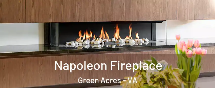 Napoleon Fireplace Green Acres - VA