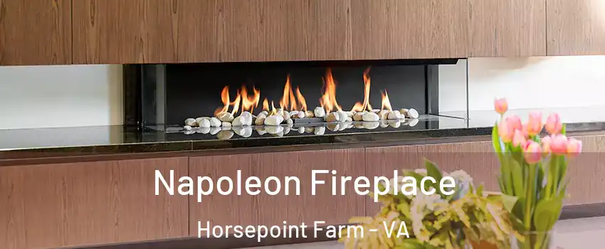 Napoleon Fireplace Horsepoint Farm - VA