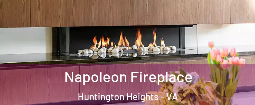 Napoleon Fireplace Huntington Heights - VA