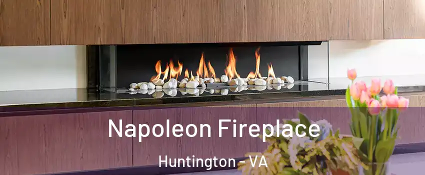 Napoleon Fireplace Huntington - VA
