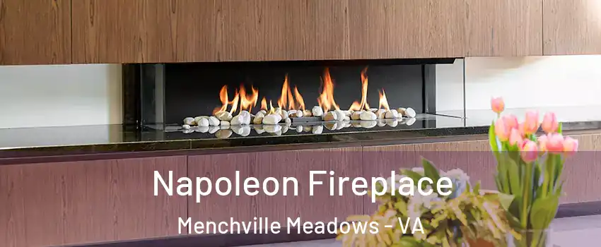 Napoleon Fireplace Menchville Meadows - VA