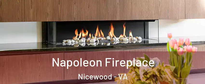 Napoleon Fireplace Nicewood - VA