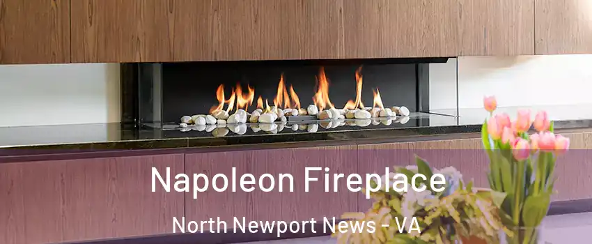 Napoleon Fireplace North Newport News - VA