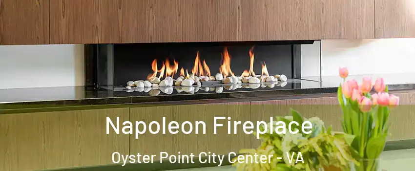 Napoleon Fireplace Oyster Point City Center - VA
