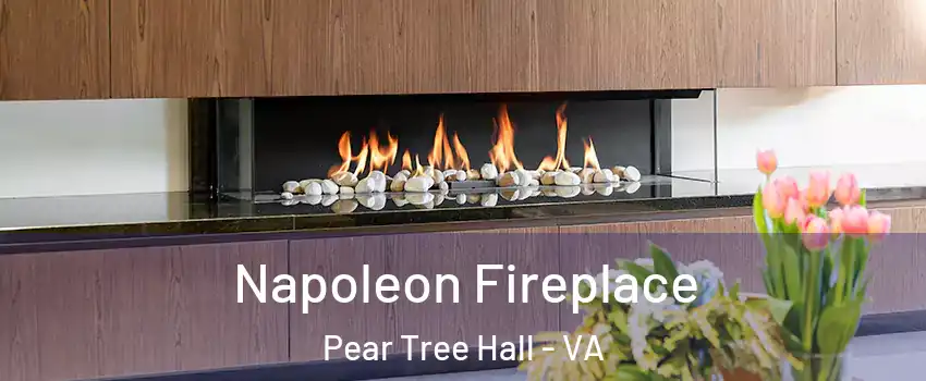 Napoleon Fireplace Pear Tree Hall - VA