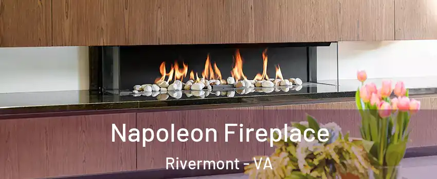 Napoleon Fireplace Rivermont - VA