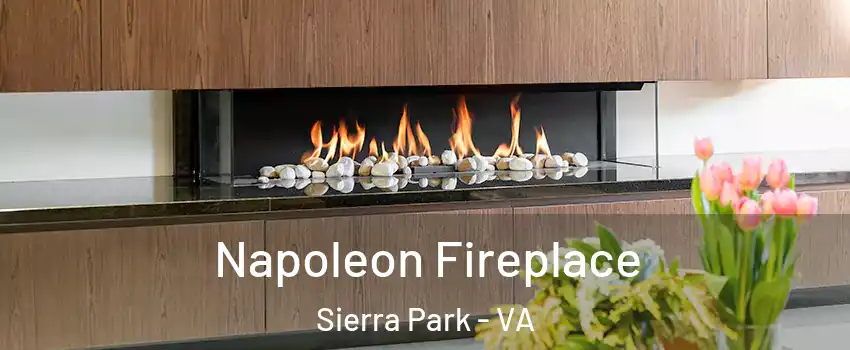 Napoleon Fireplace Sierra Park - VA