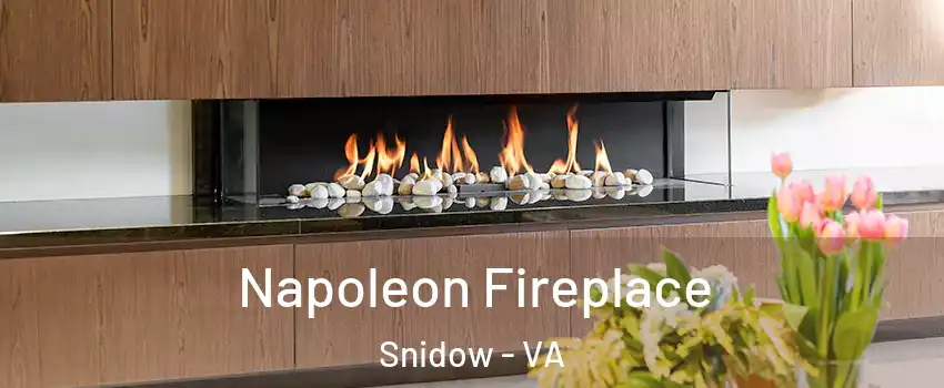 Napoleon Fireplace Snidow - VA