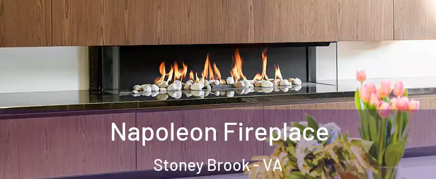 Napoleon Fireplace Stoney Brook - VA