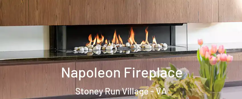 Napoleon Fireplace Stoney Run Village - VA