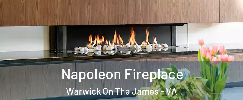 Napoleon Fireplace Warwick On The James - VA