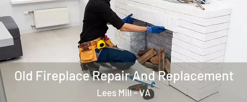 Old Fireplace Repair And Replacement Lees Mill - VA