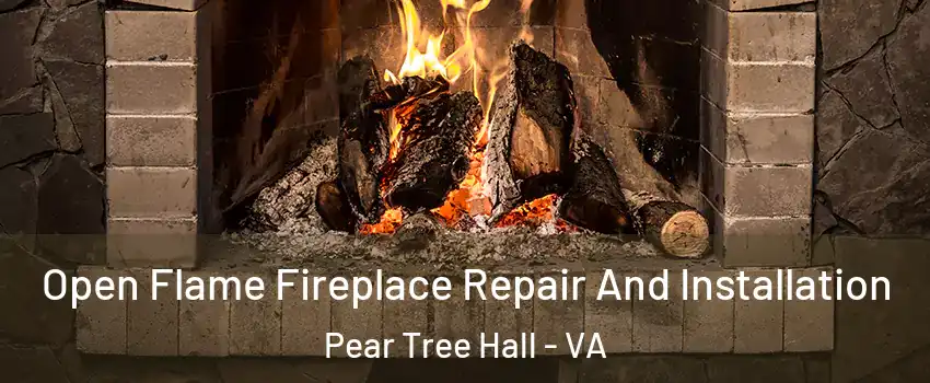 Open Flame Fireplace Repair And Installation Pear Tree Hall - VA