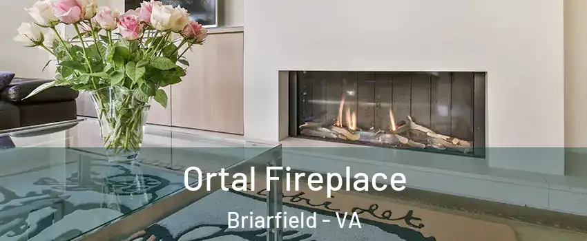 Ortal Fireplace Briarfield - VA