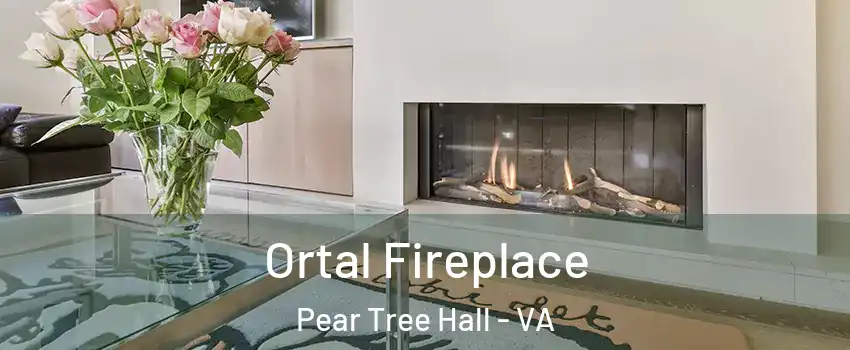 Ortal Fireplace Pear Tree Hall - VA