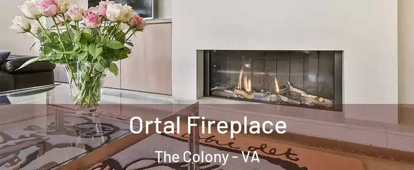 Ortal Fireplace The Colony - VA