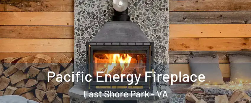 Pacific Energy Fireplace East Shore Park - VA