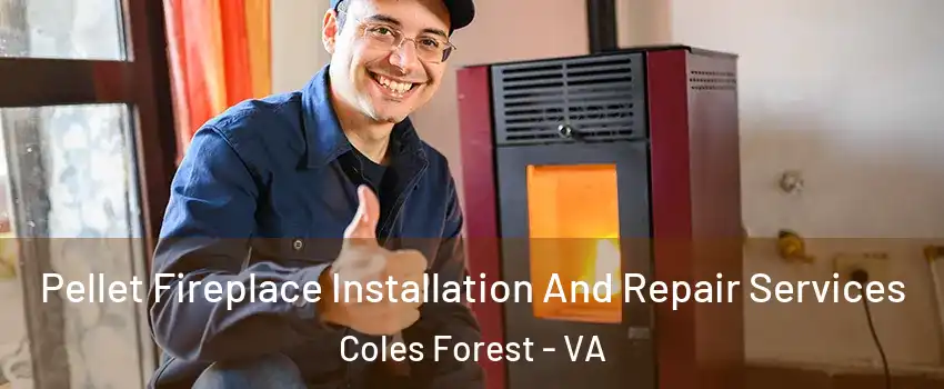 Pellet Fireplace Installation And Repair Services Coles Forest - VA