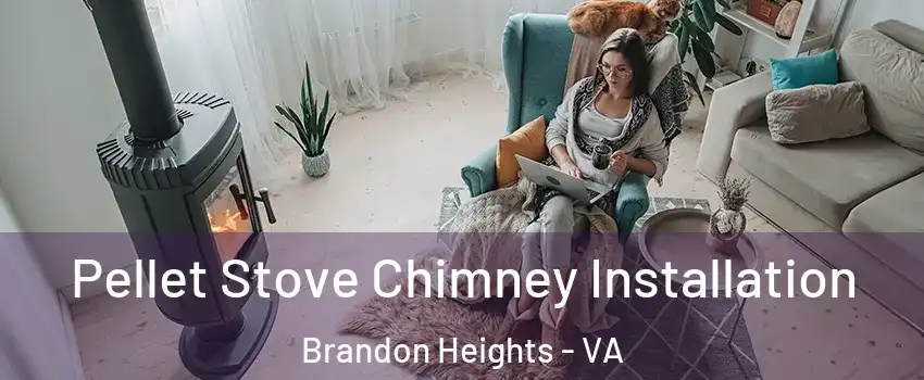 Pellet Stove Chimney Installation Brandon Heights - VA