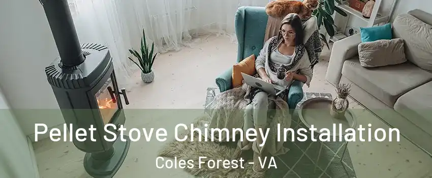 Pellet Stove Chimney Installation Coles Forest - VA