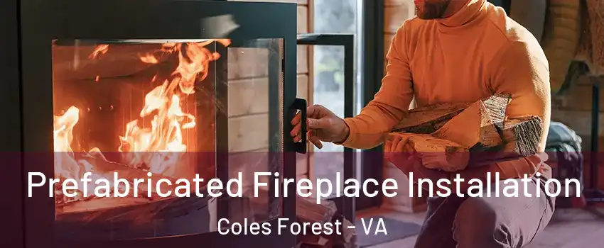 Prefabricated Fireplace Installation Coles Forest - VA