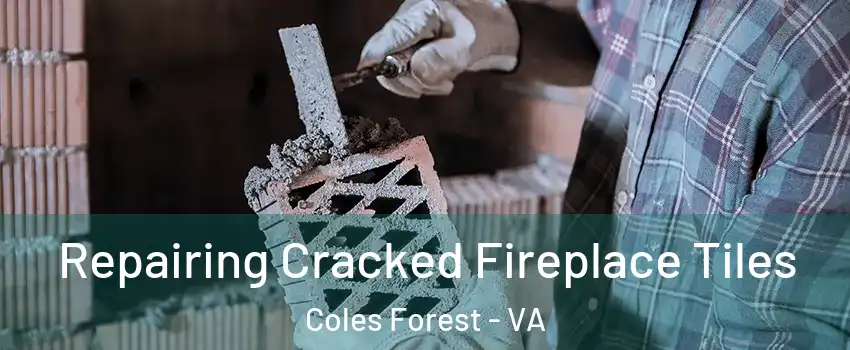 Repairing Cracked Fireplace Tiles Coles Forest - VA