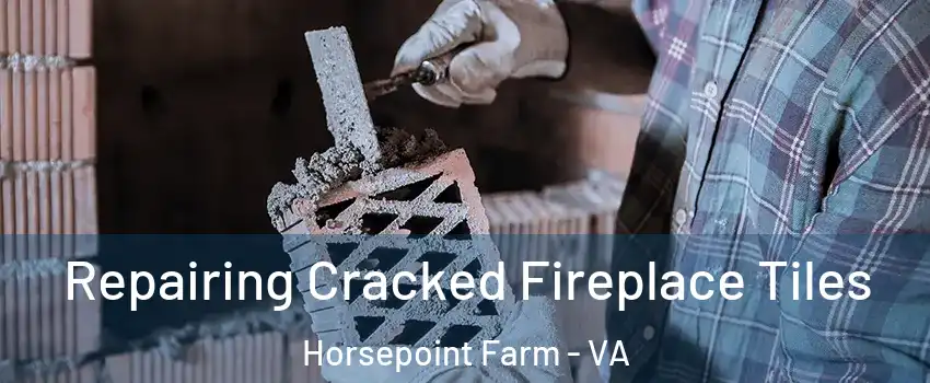 Repairing Cracked Fireplace Tiles Horsepoint Farm - VA