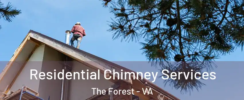 Residential Chimney Services The Forest - VA