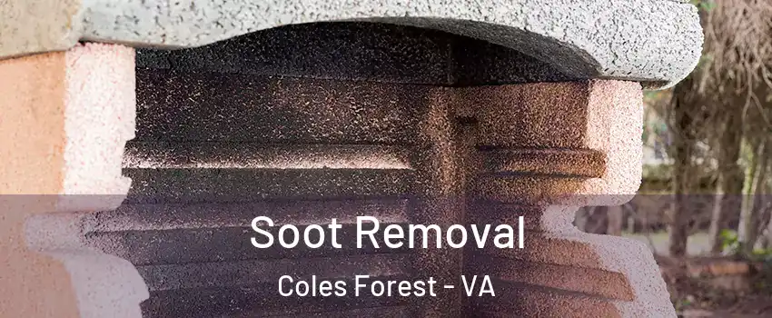 Soot Removal Coles Forest - VA