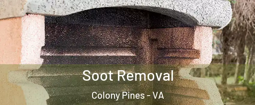 Soot Removal Colony Pines - VA