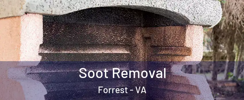Soot Removal Forrest - VA