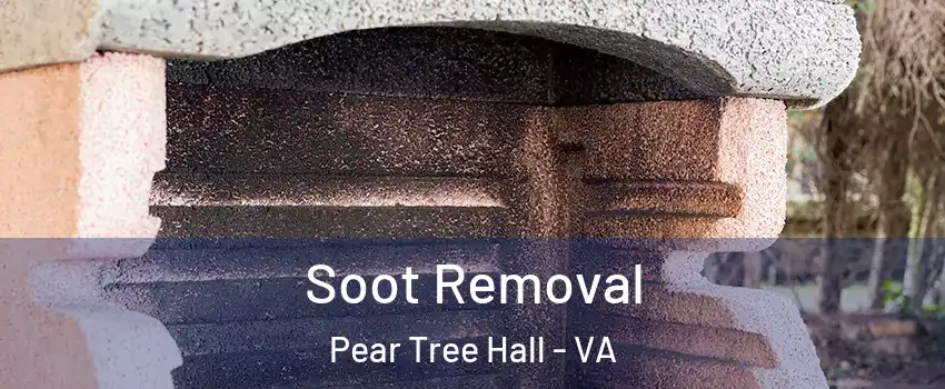 Soot Removal Pear Tree Hall - VA