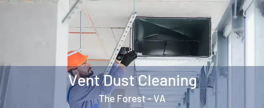 Vent Dust Cleaning The Forest - VA