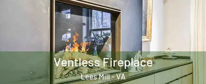 Ventless Fireplace Lees Mill - VA