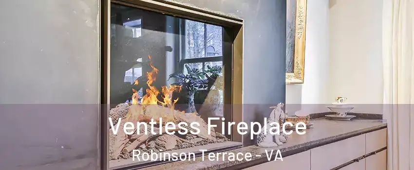 Ventless Fireplace Robinson Terrace - VA