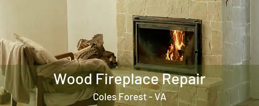 Wood Fireplace Repair Coles Forest - VA