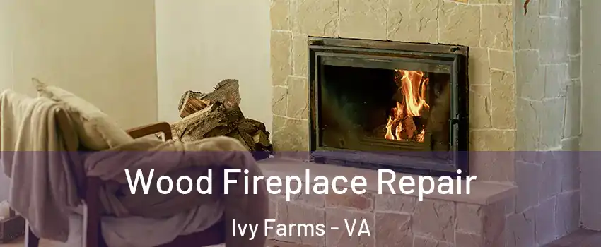 Wood Fireplace Repair Ivy Farms - VA