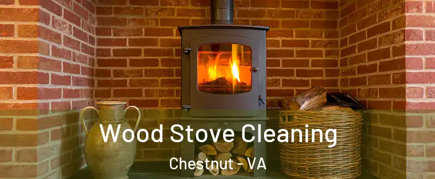 Wood Stove Cleaning Chestnut - VA