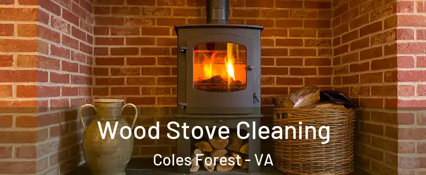 Wood Stove Cleaning Coles Forest - VA