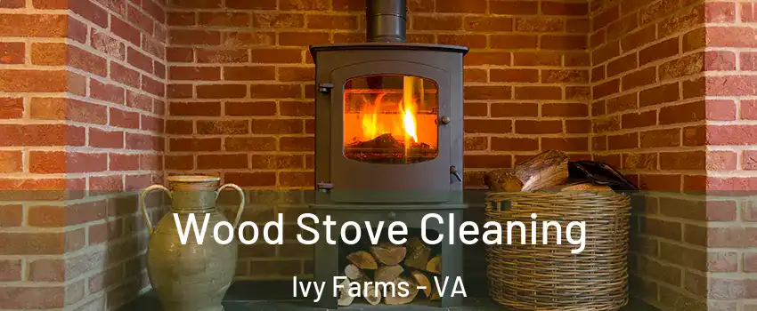 Wood Stove Cleaning Ivy Farms - VA