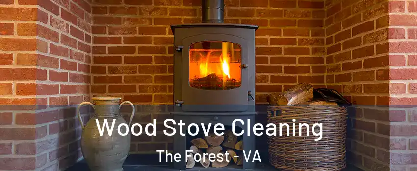 Wood Stove Cleaning The Forest - VA