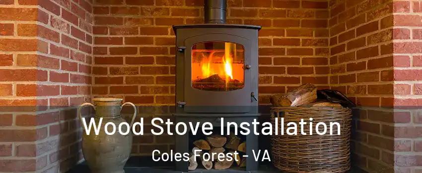 Wood Stove Installation Coles Forest - VA