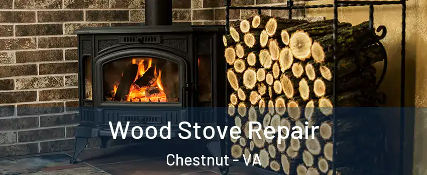 Wood Stove Repair Chestnut - VA