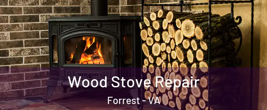 Wood Stove Repair Forrest - VA
